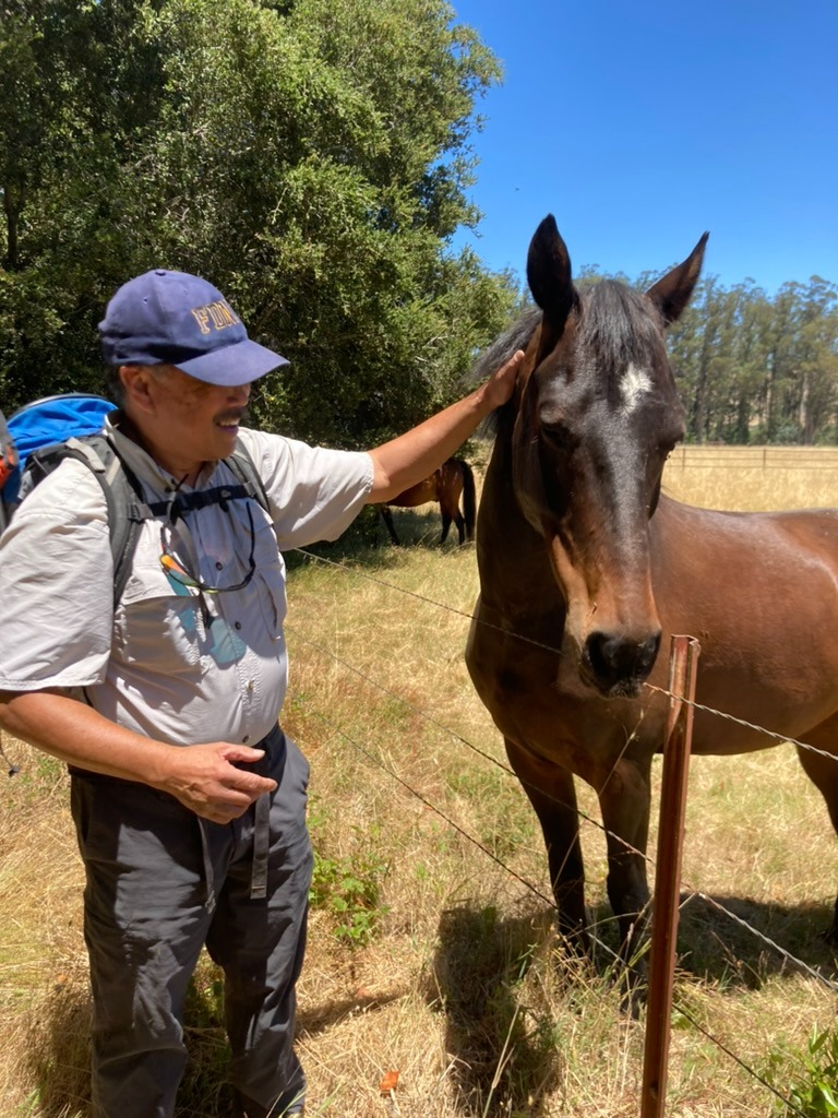 Mel with a horse on a hike